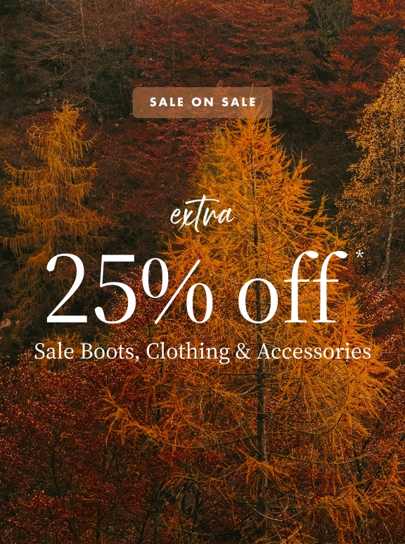  fall leaves with text Sale on Sale extra 25% off* sale