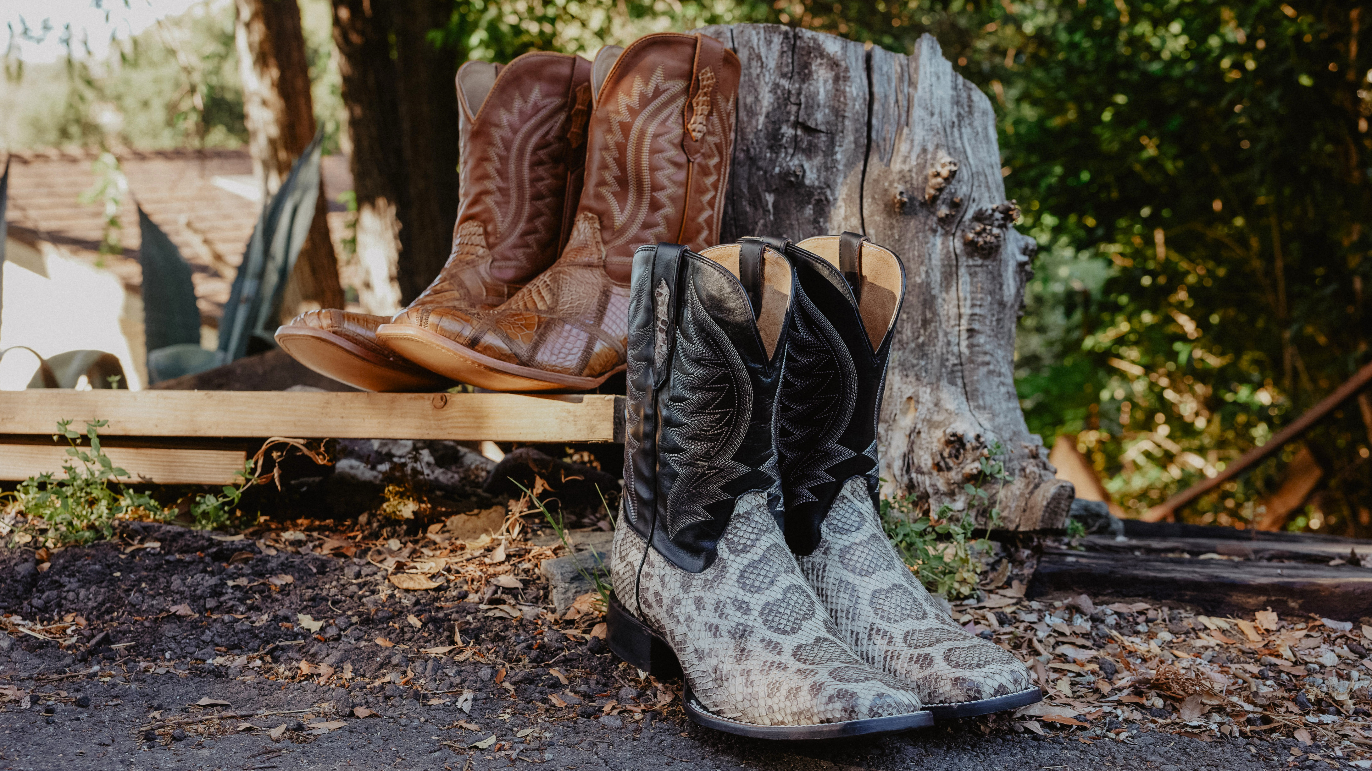 brown exotic boot and black exotic boot outside
