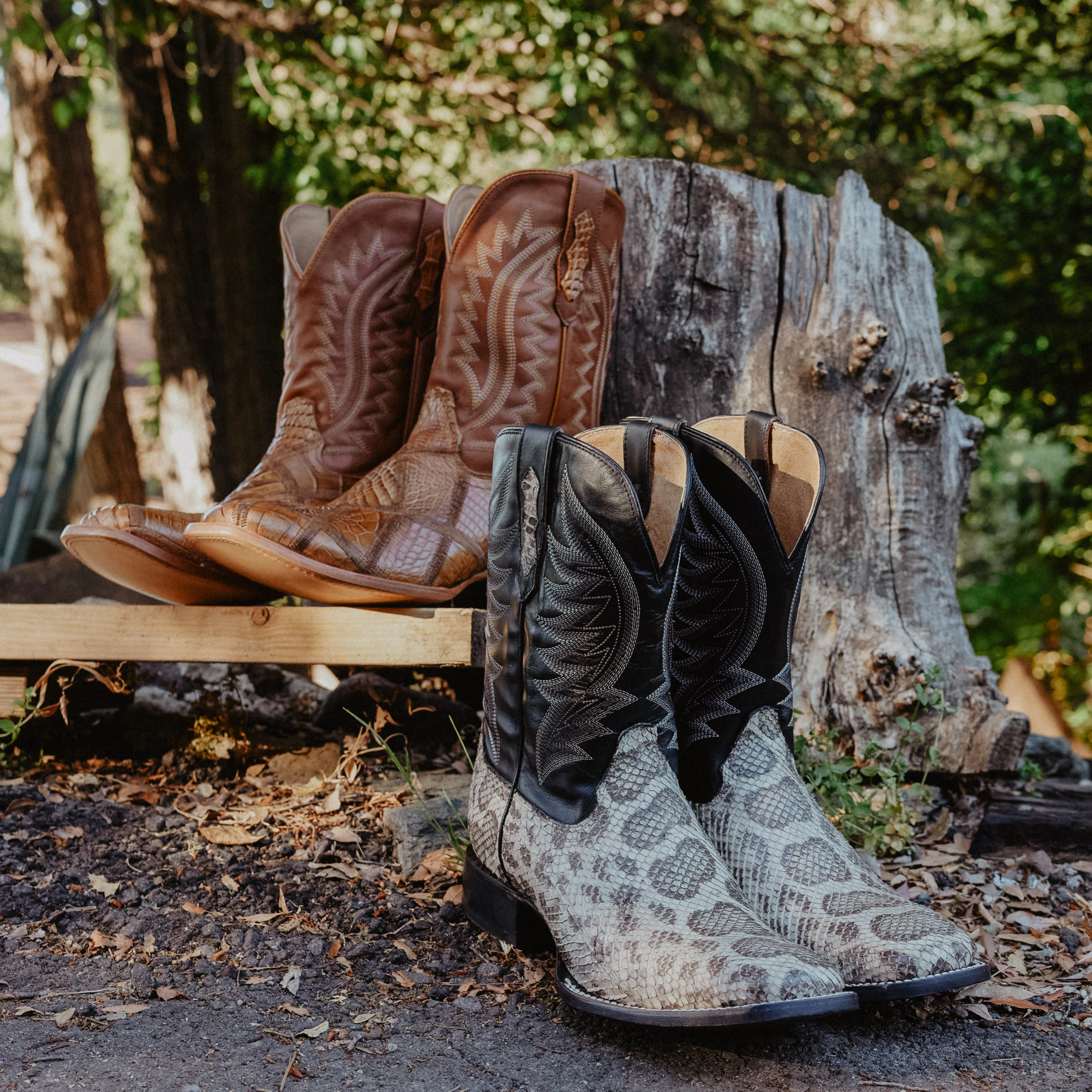 brown exotic boot and black exotic boot outside