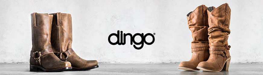Dingo